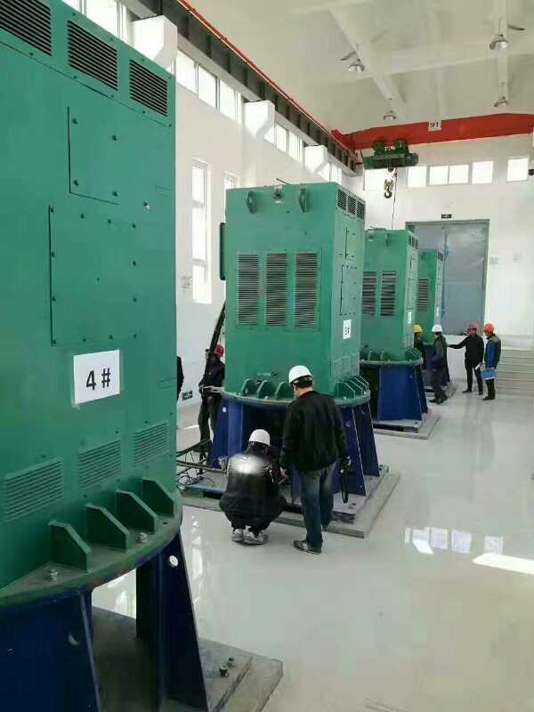 南丰镇某污水处理厂使用我厂的立式高压电机安装现场